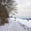 Winterlandschaft