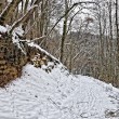 Felsen mit Schnee