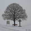 Winterlinde mit Kreuz
