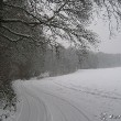 Winterlandschaft