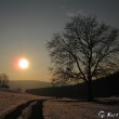 Winterbaum, später