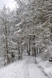 Wintermärchenwald, fotografiert von Martin Dühning
