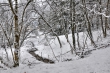 Winterlicher Wald