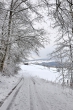 Winterwunderwelt