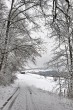 Winterwunderwelt