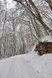 Verschneiter Winterwald