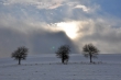 Winter gegen Sonne II