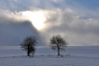 Winter gegen Sonne III