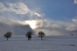 Winter gegen Sonne V