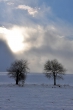 Winter gegen Sonne VI