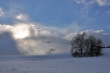 Winter gegen Sonne VII