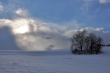 Winter gegen Sonne IX