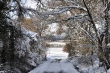 Richtung Lauchringen im Winter