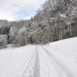 Wintermärchenweg