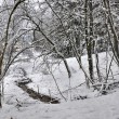 Winterlicher Wald