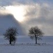 Winter gegen Sonne