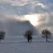 Winter gegen Sonne II