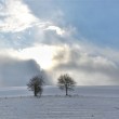 Winter gegen Sonne IV