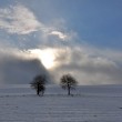 Winter gegen Sonne V