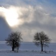 Winter gegen Sonne VI