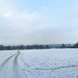 Beim Hexenloch im Winter