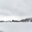 Blick auf das verschneite Oberlauchringen