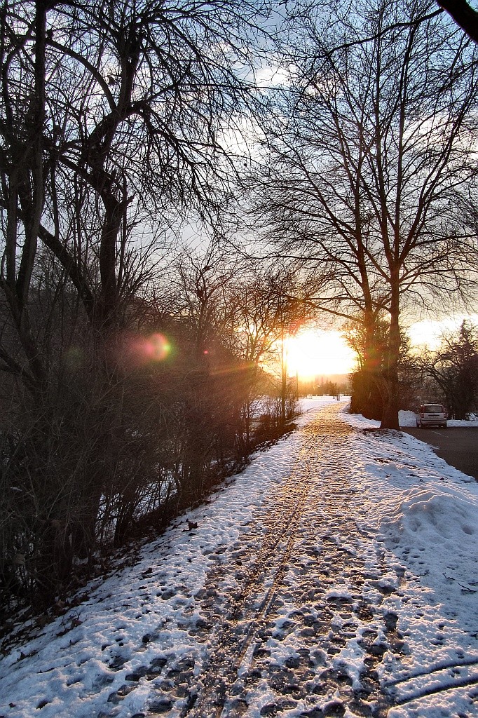 Wintersonne bei Tiengen