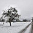 DSC_0336_1024