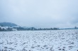 DSC_6092_1920