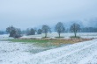 DSC_6097_1920
