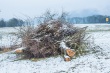 DSC_6100_1920