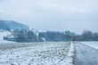 DSC_6109_1920