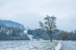 DSC_6111_1920