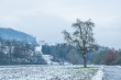 DSC_6113_1920