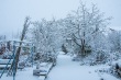 DSC_6293_1920