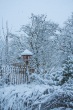 DSC_6299_1920