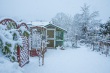 DSC_6304_1920