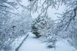 DSC_6306_1920