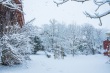 DSC_6307_1920