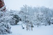 DSC_6312_1920