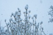 DSC_6319_1920