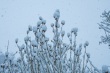 DSC_6321_1920