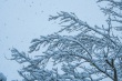 DSC_6323_1920