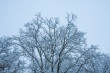 DSC_6330_1920