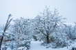 DSC_6334_1920