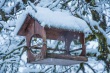 DSC_6342_1920