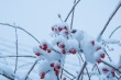 DSC_6345_1920