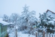 DSC_6362_1920