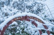 DSC_6366_1920