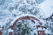 DSC_6367_1920